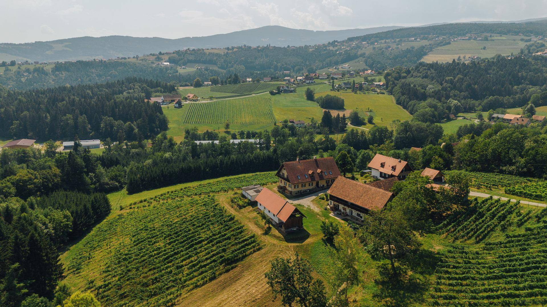 Weitläufiges Anwesen umgeben von Weinbergen und einer malerischen ländlichen Umgebung.