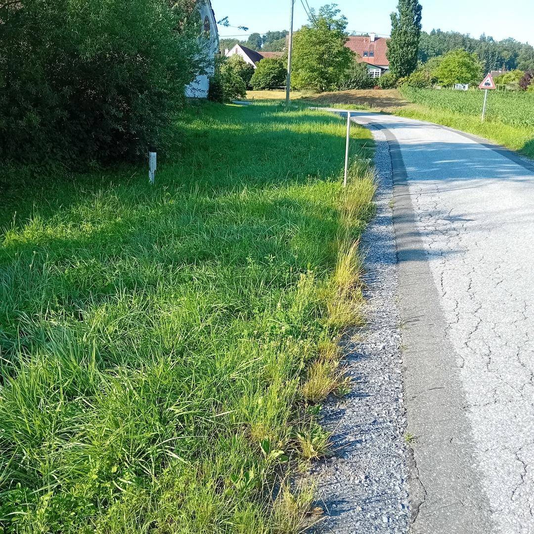 Grüne Fläche am Straßenrand mit ländlicher Bebauung und Bäumen in der Ferne.
