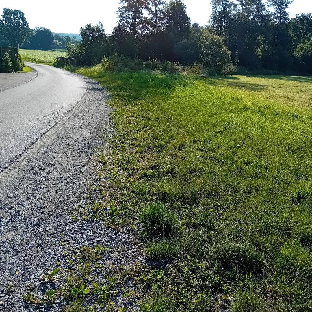 Landstraße schlängelt sich durch grüne Felder und Bäume unter blauem Himmel.