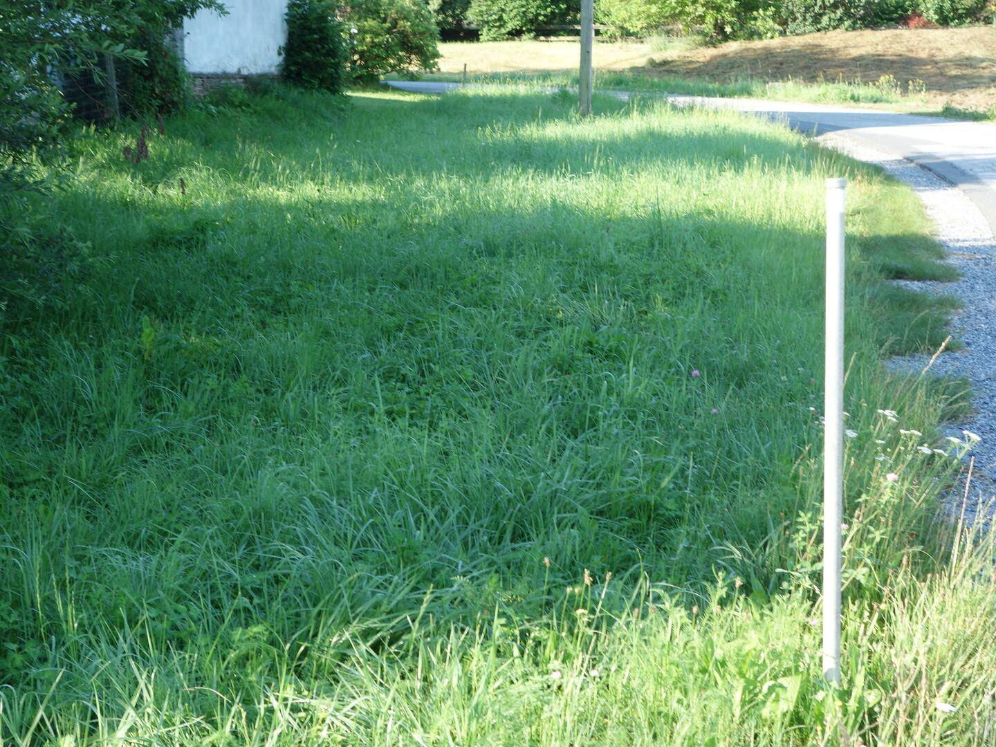 Weitläufige grüne Wiese an einer Straße, umgeben von Bäumen und ländlicher Bebauung.