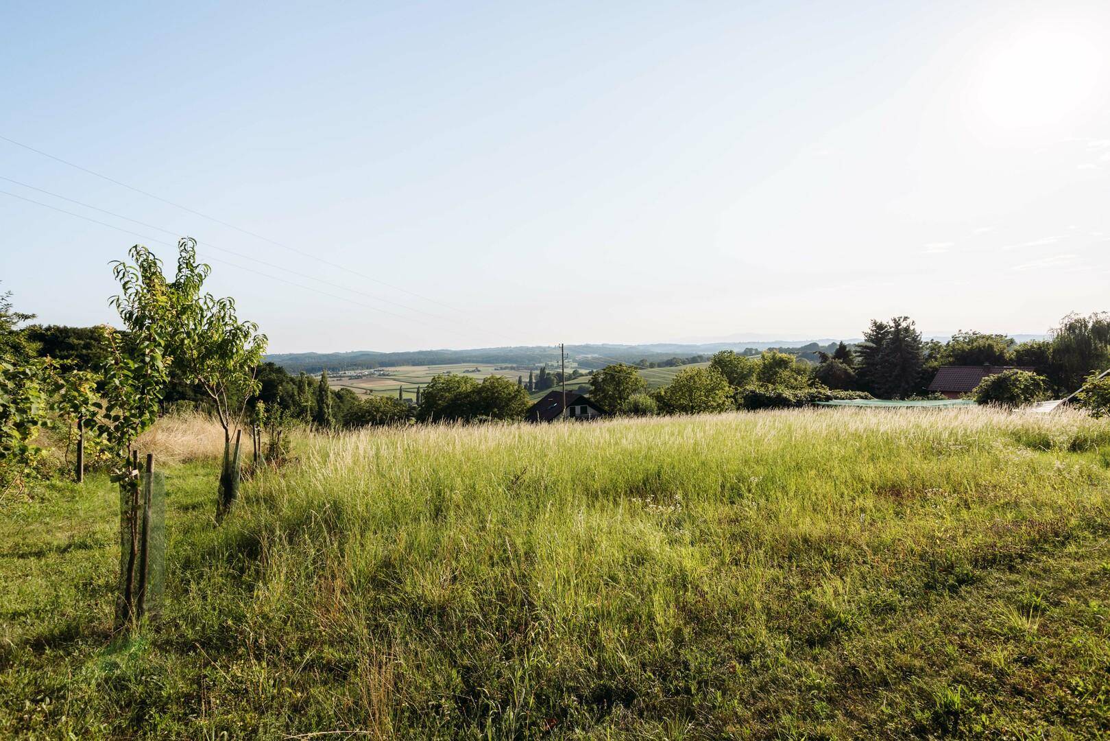 Weitläufige grüne Wiesen und Felder mit jungen Bäumen und einem weiten Blick über die Landschaft.