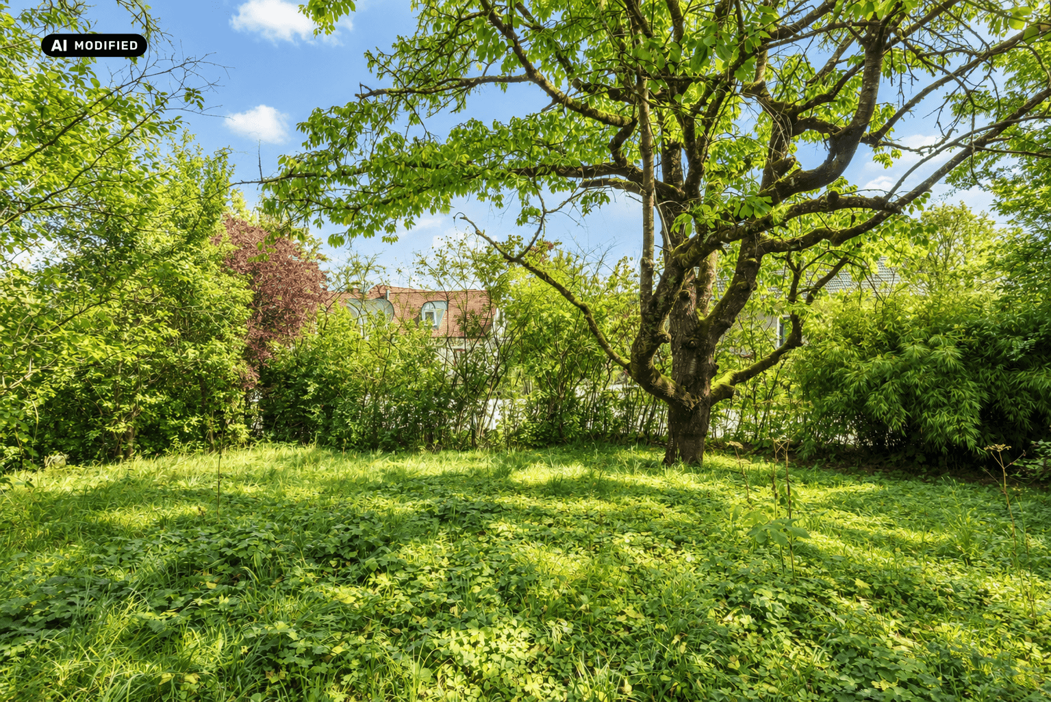 Sonniger, grüner Gartenbereich mit einem großen, alten Baum und Blick auf das Haus im Hintergrund.