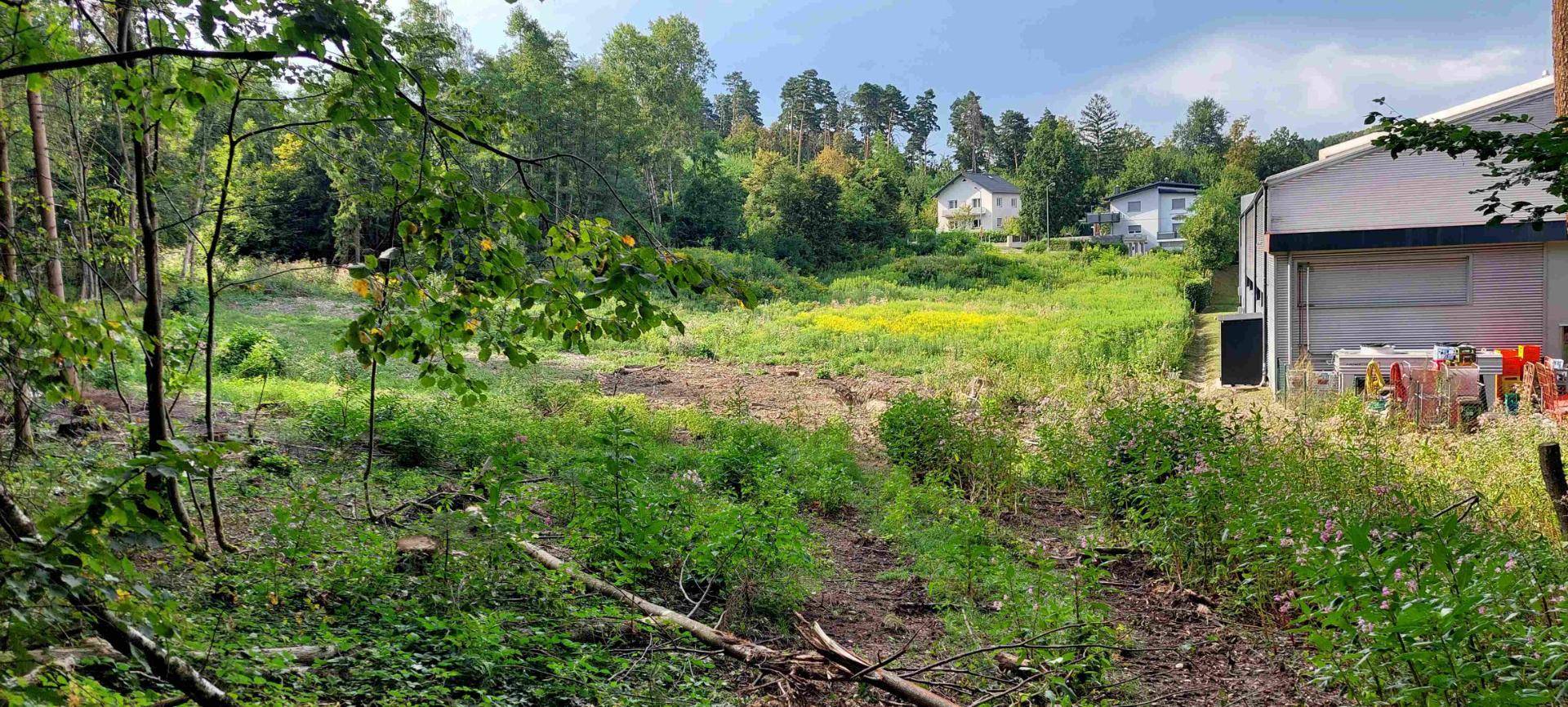 Weitläufiges Grundstück am Waldrand mit Blick auf weitere Häuser in der Ferne und ein angrenzendes Gebäude.