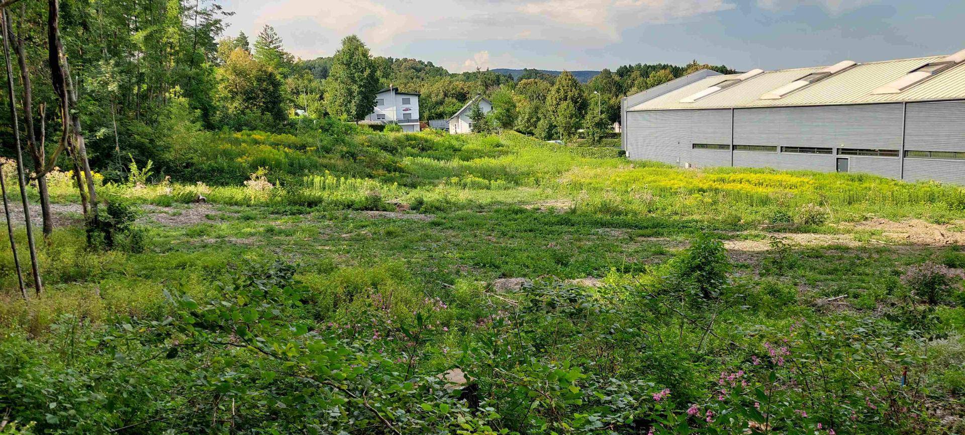 Panoramablick über ein weitläufiges, grünes Grundstück mit Wald im Hintergrund und einem Gebäude am Rand.