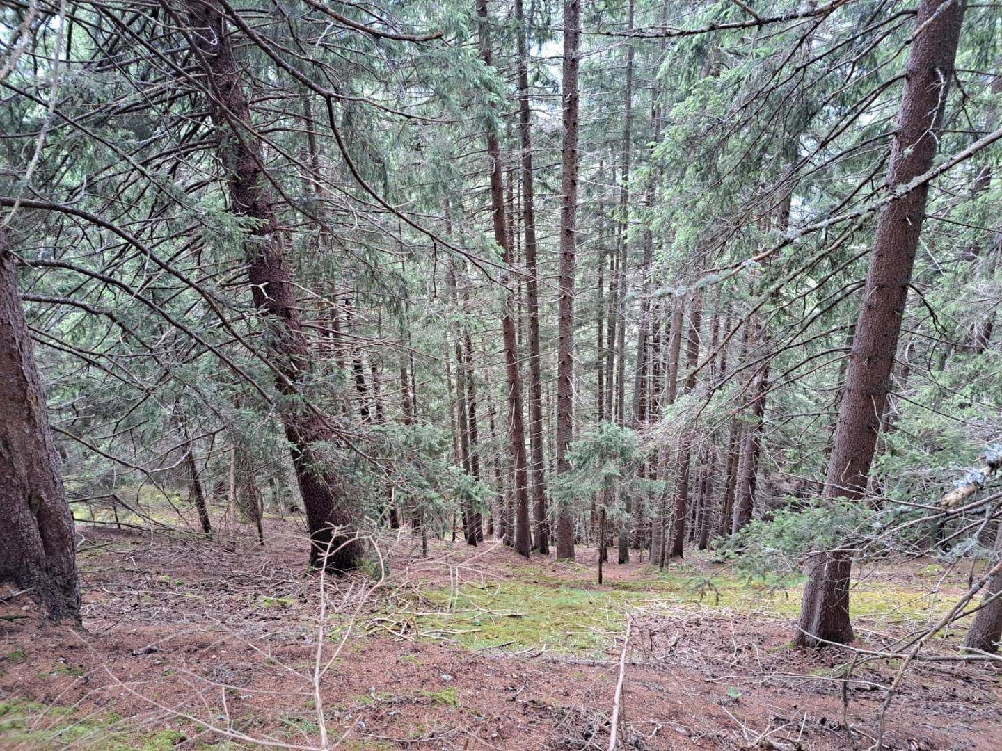IMG-20250708-WA0024