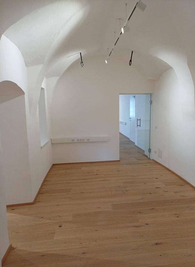 Heller Raum mit Holzboden und gewölbter Decke, der zu einem Bereich mit Glastür und weiteren Räumen führt.