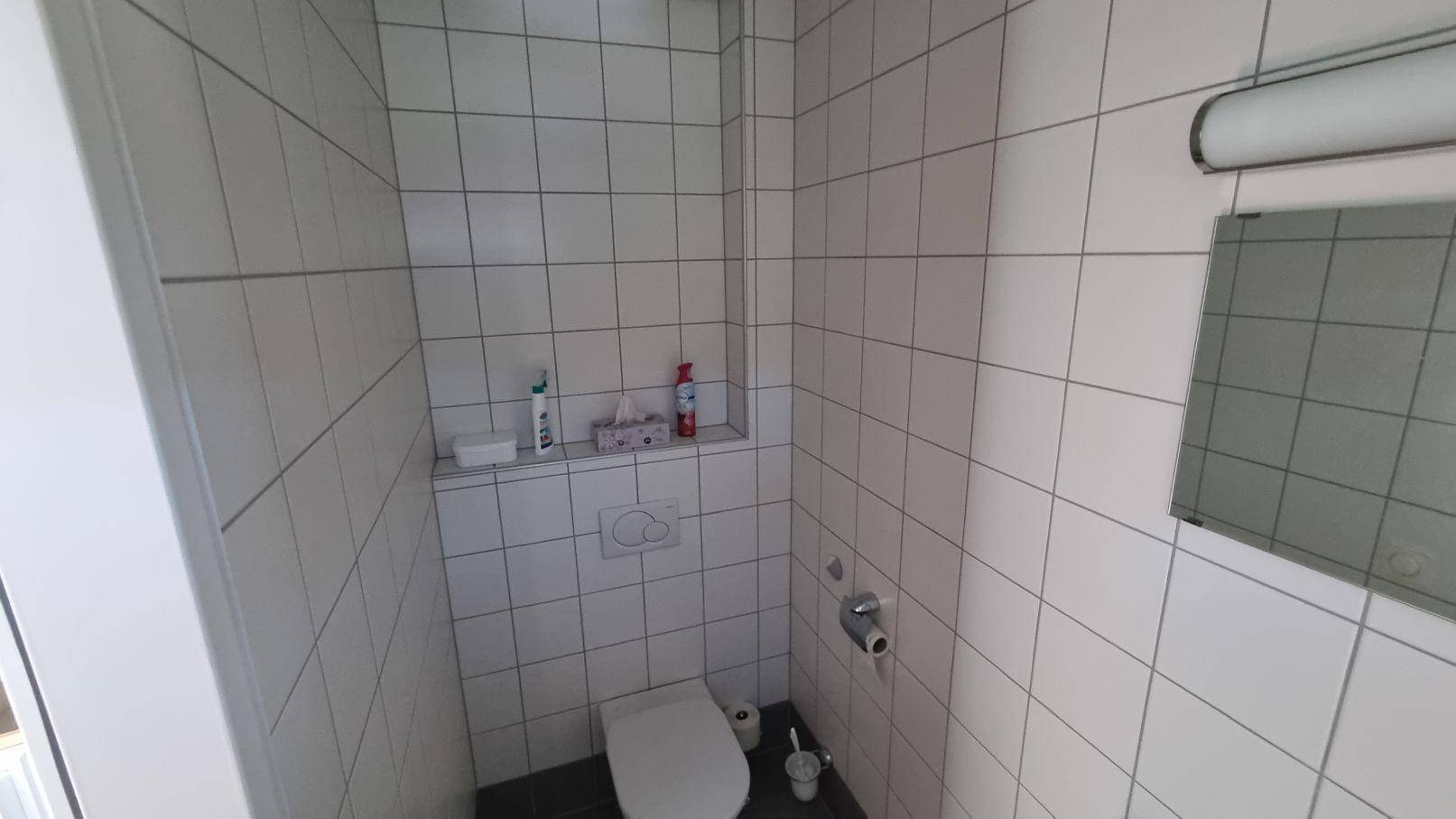 Kleiner Toilettenraum mit weißen Fliesen, wandmontierter Toilette und einem kleinen Spiegel.