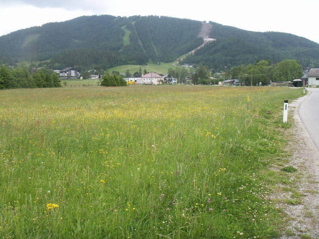 Weite Wiesenfläche mit Blick auf einen bewaldeten Berg mit Skipisten und umliegende Bebauung.