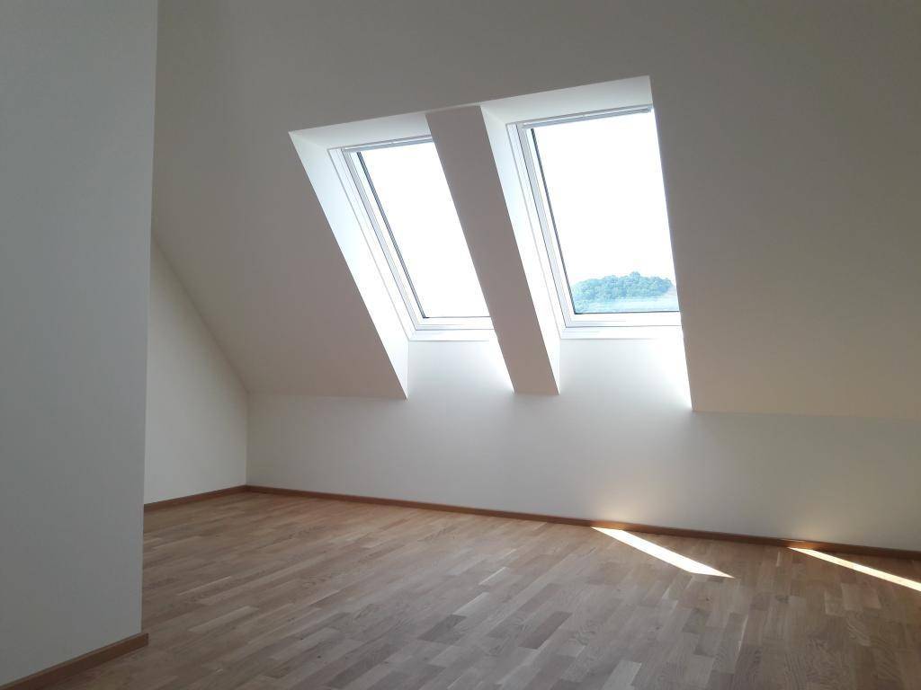 Zimmer DG