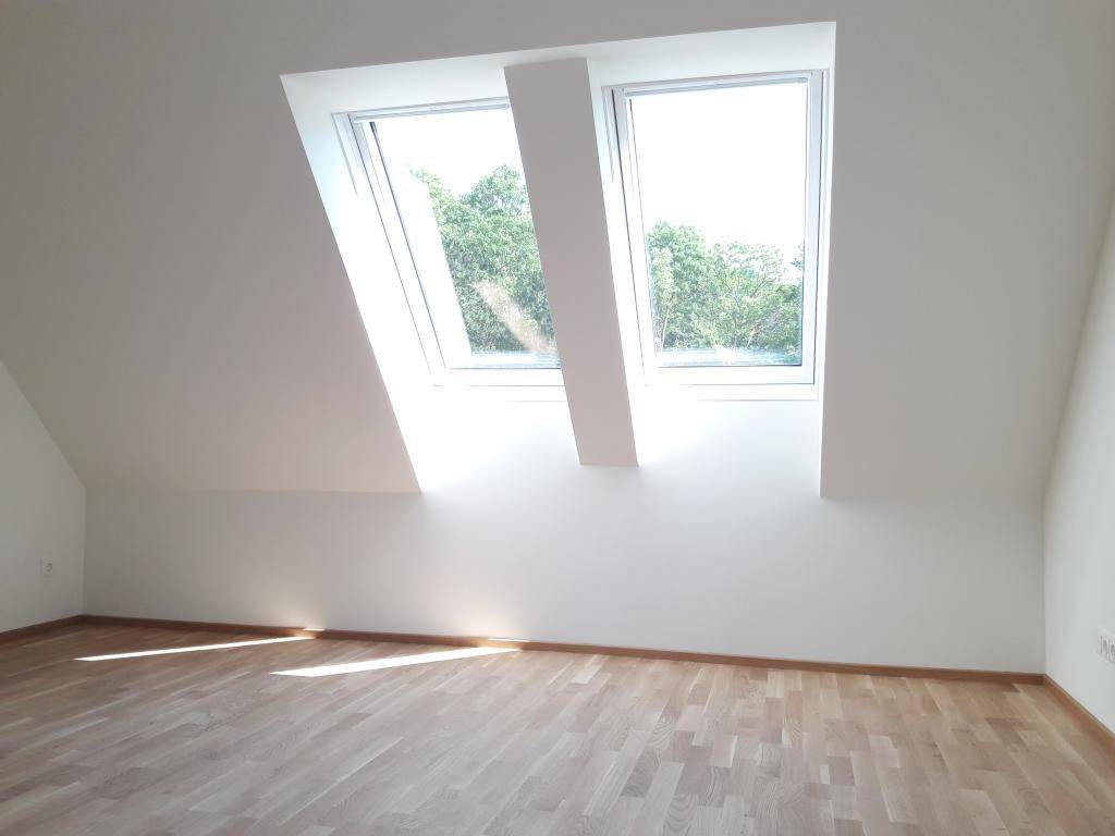 Zimmer DG