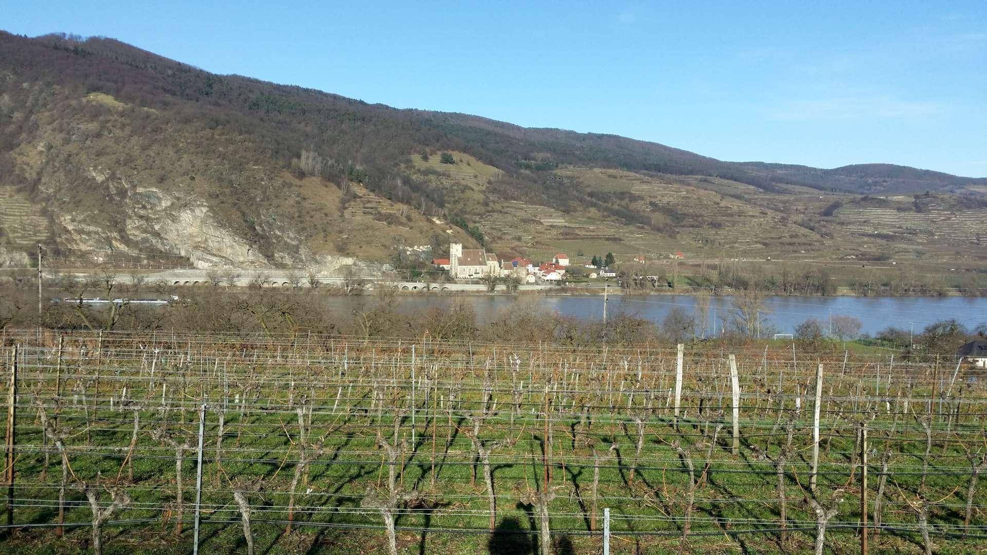 Donaublick