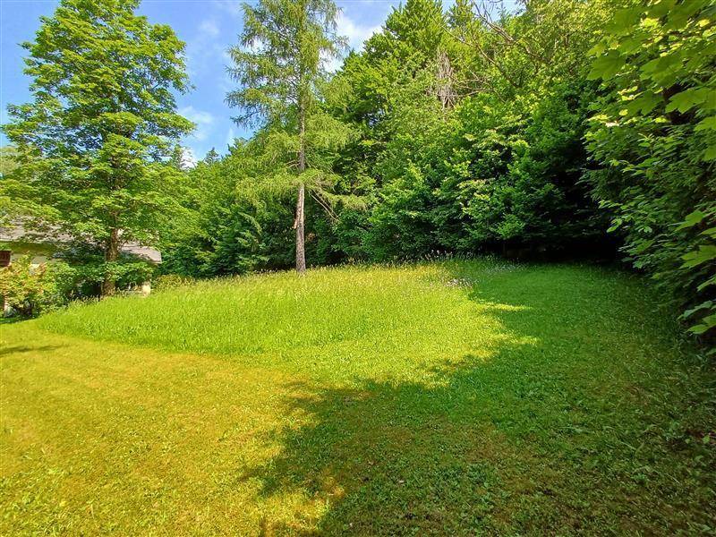 Gepflegte Rasenfläche mit angrenzendem Wald und einem einzelnen Baum auf dem Grundstück, ein Haus ist sichtbar.