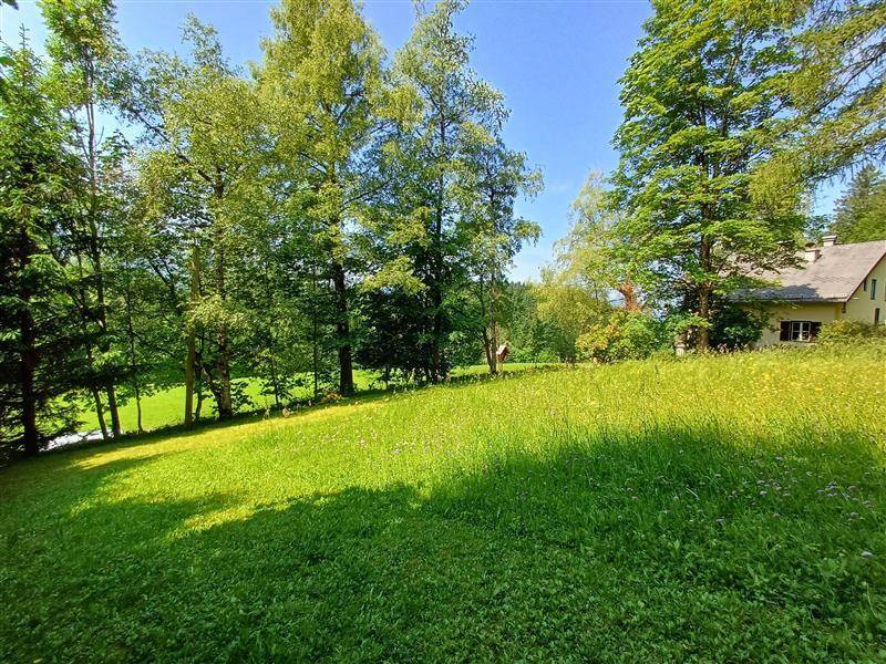 Weitläufige grüne Wiese mit Bäumen und einem charmanten Haus im Hintergrund an einem sonnigen Tag.