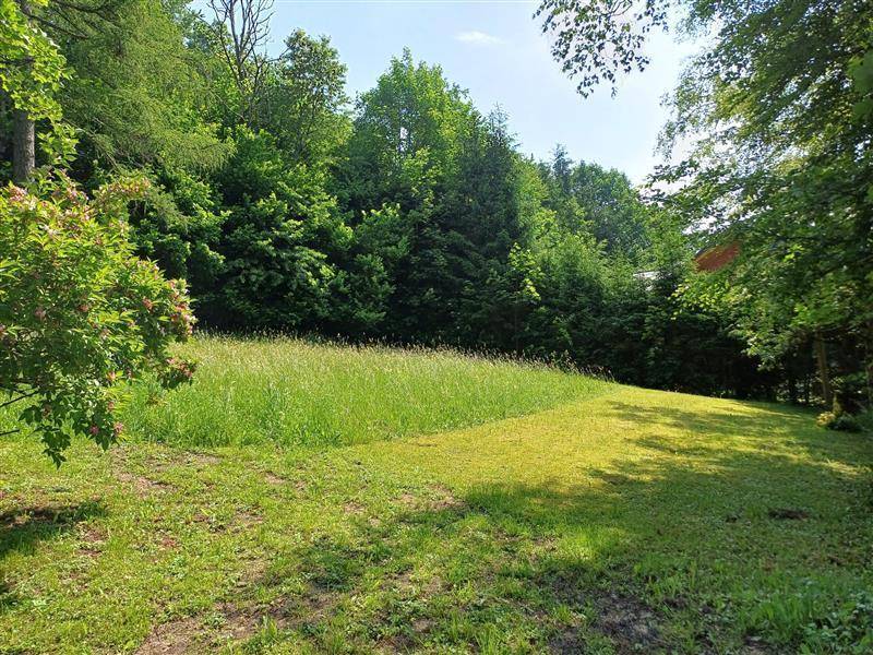 Grüne Gartenfläche mit gemähtem Pfad und üppiger Vegetation im Hintergrund unter blauem Himmel, sehr einladend.