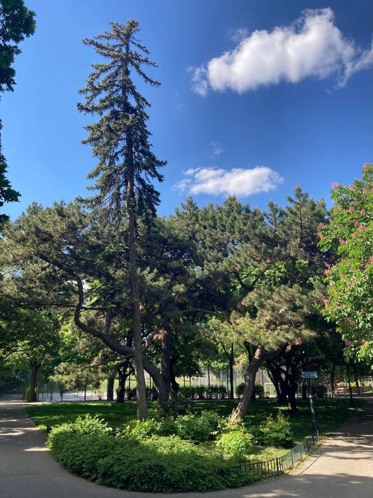 n Park