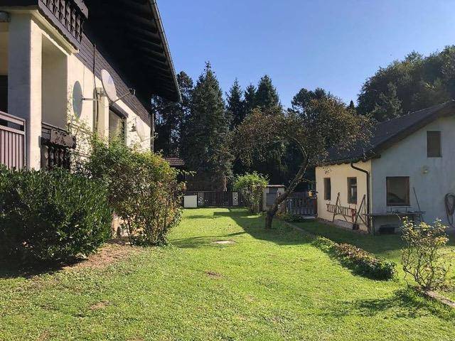 Gepflegter Garten mit Rasenfläche und Bäumen zwischen zwei Gebäuden.