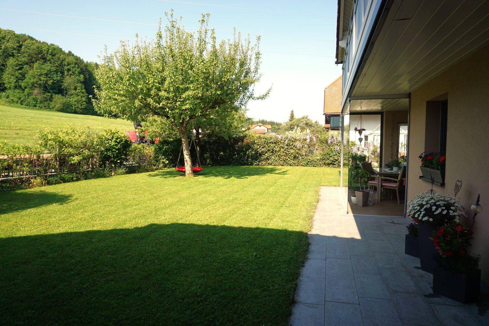Großer, sonniger Garten mit Rasenfläche, altem Baum und Schaukel, ideal zum Entspannen.