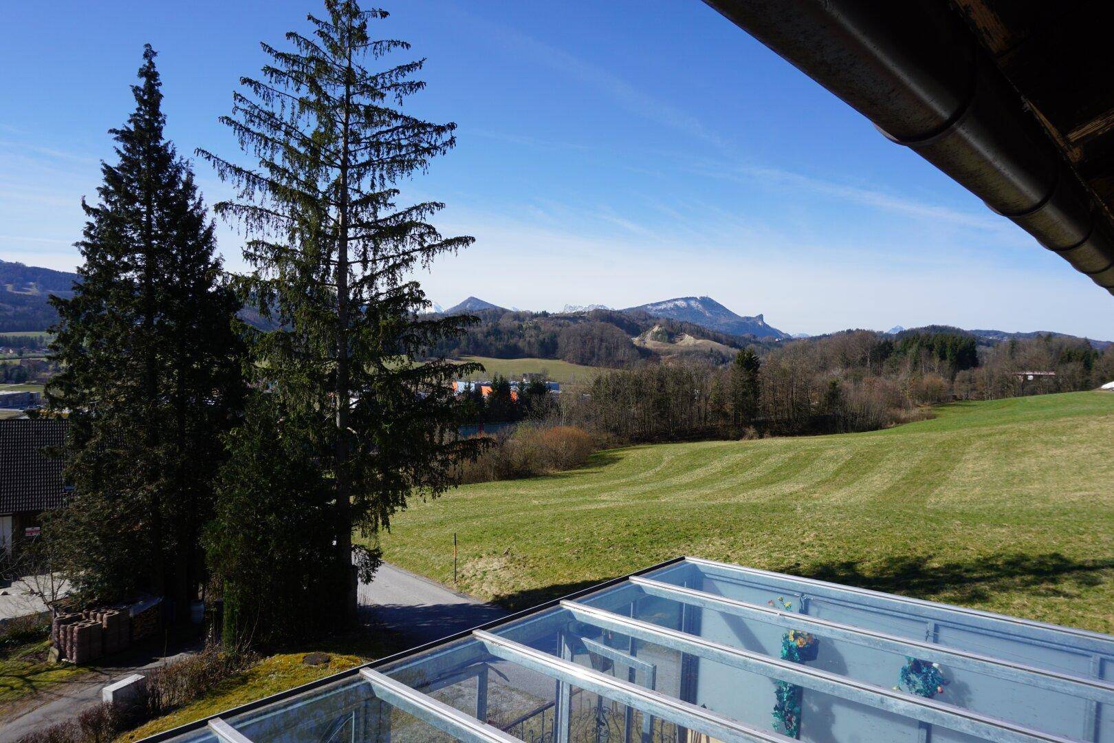 Weitläufiger Blick über grüne Felder und Wälder bis zu den schneebedeckten Bergen am Horizont.