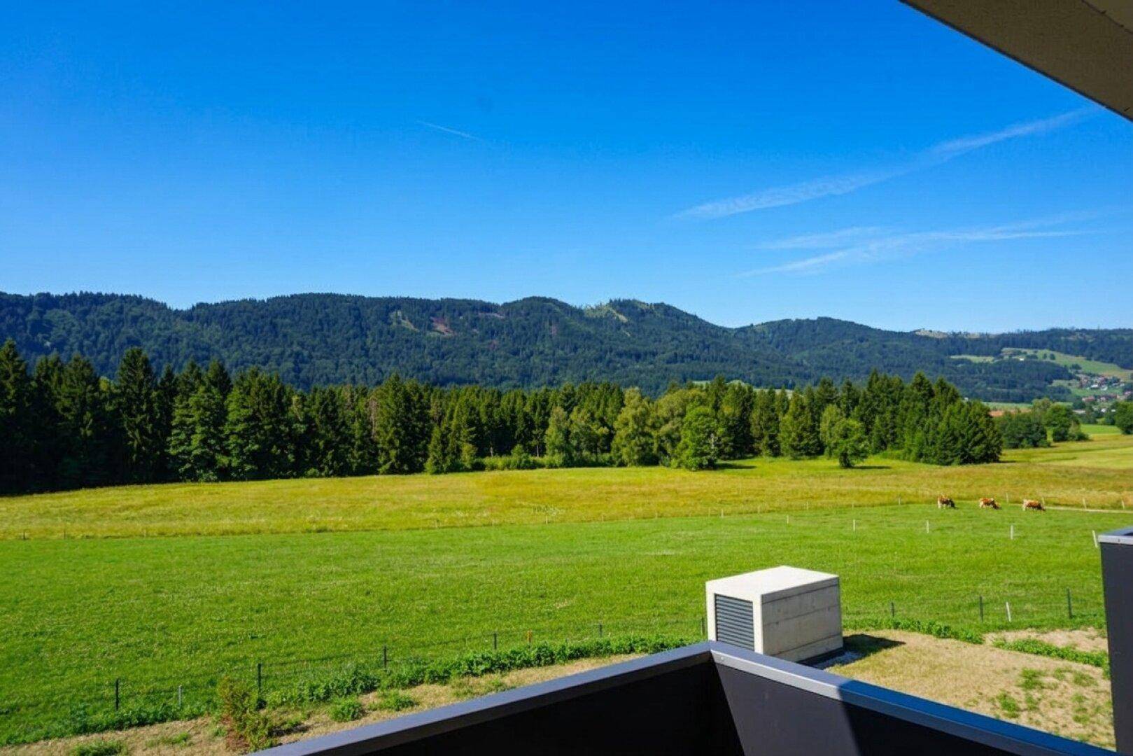 Weitläufiger Blick von einem Balkon auf grüne Wiesen, Wälder und Berge unter blauem Himmel.