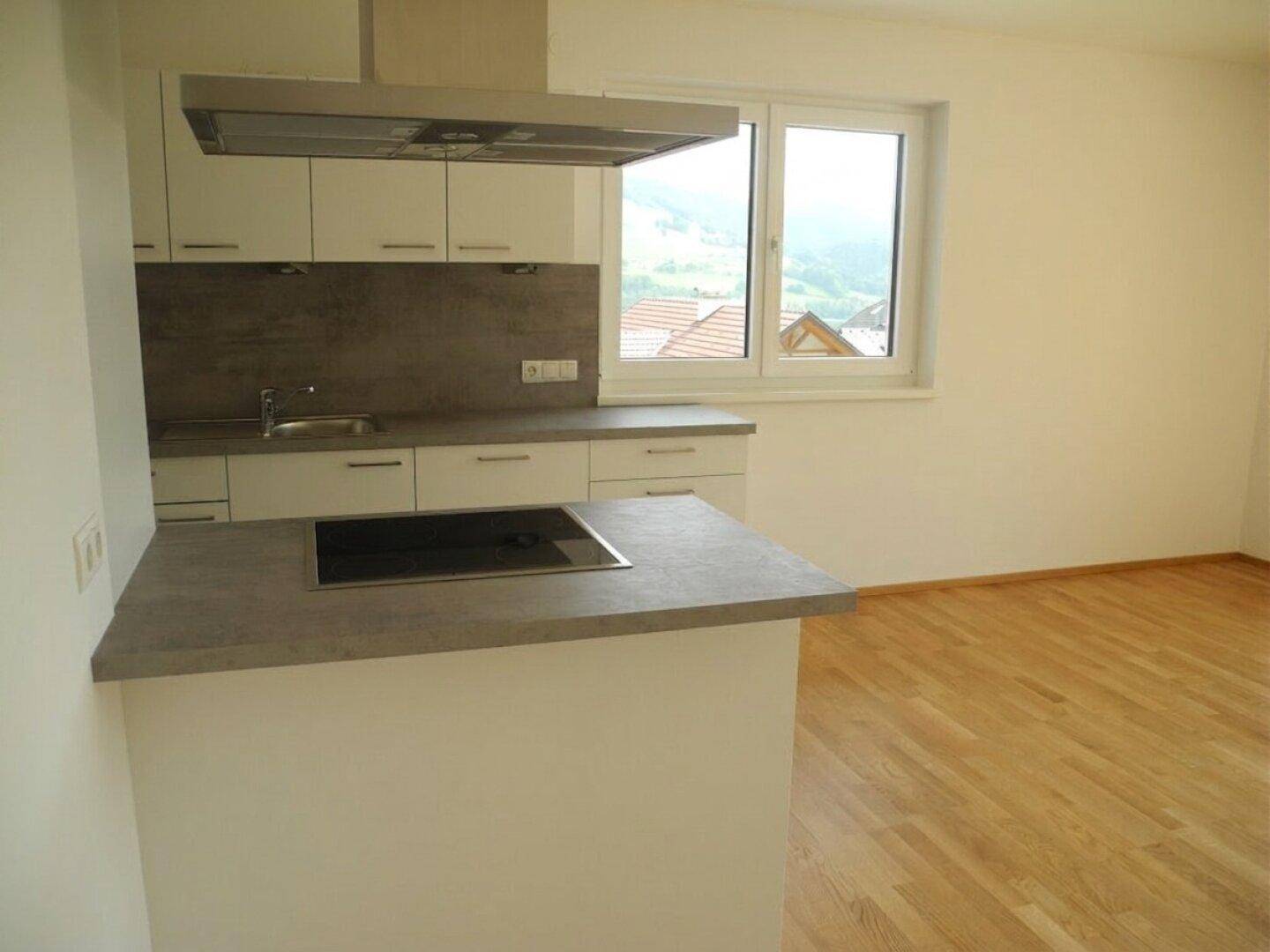 Moderne Küche mit Induktionskochfeld, Holzboden und Fensterblick ins Grüne.
