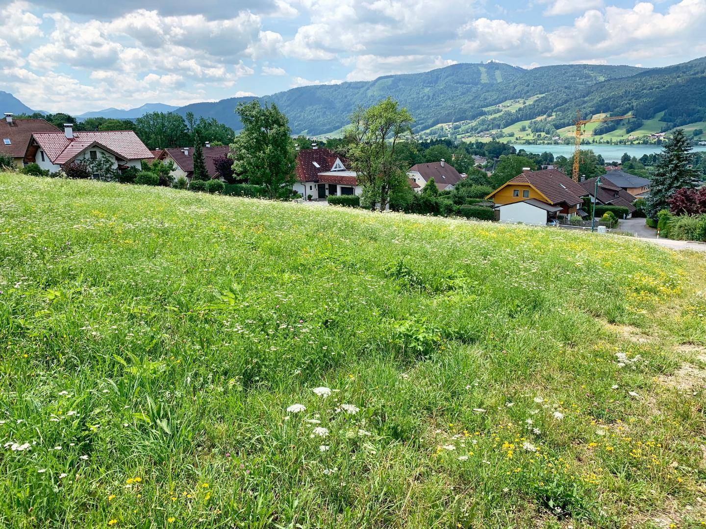 Südblick