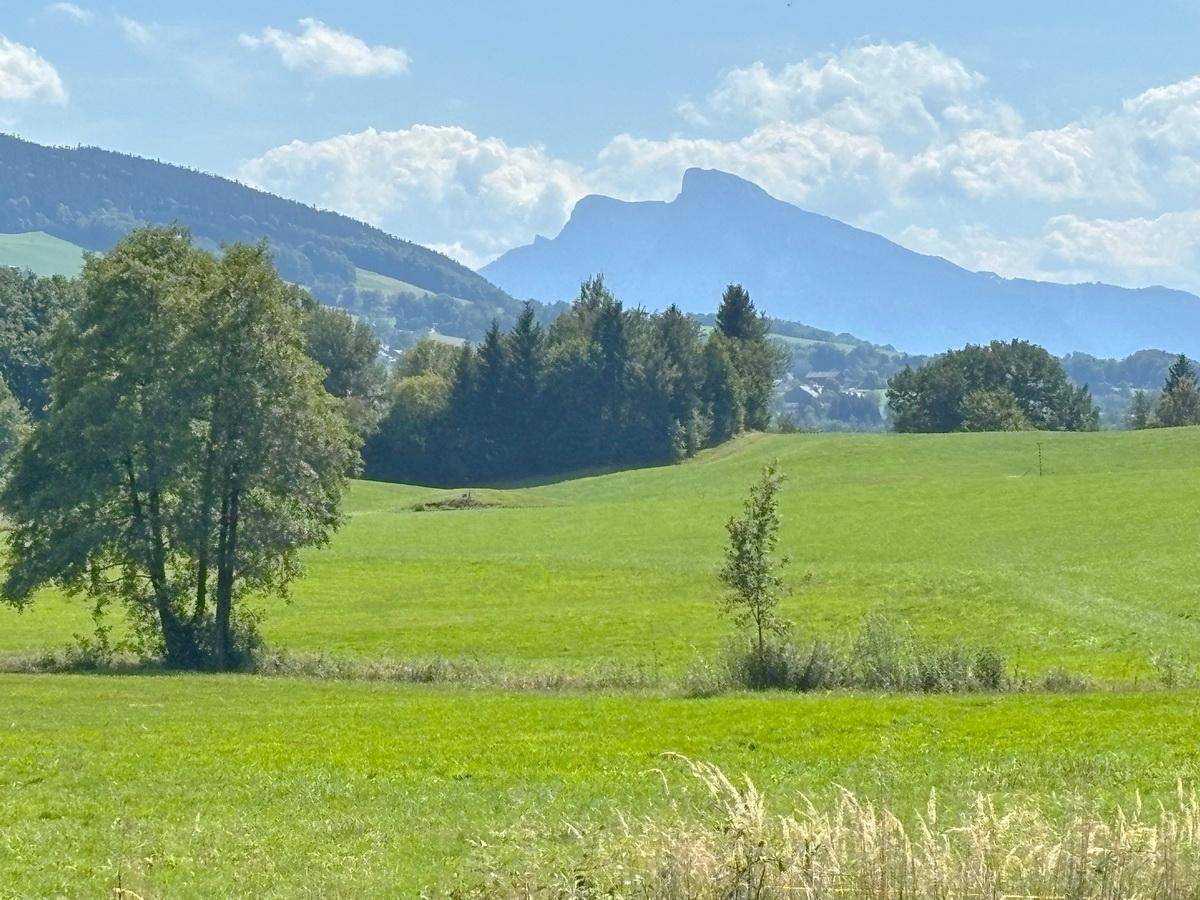 BESONDERE RARITÄT * Baugrundstück mit Altbestand in Alleinlage und Seenähe - Ansicht 4