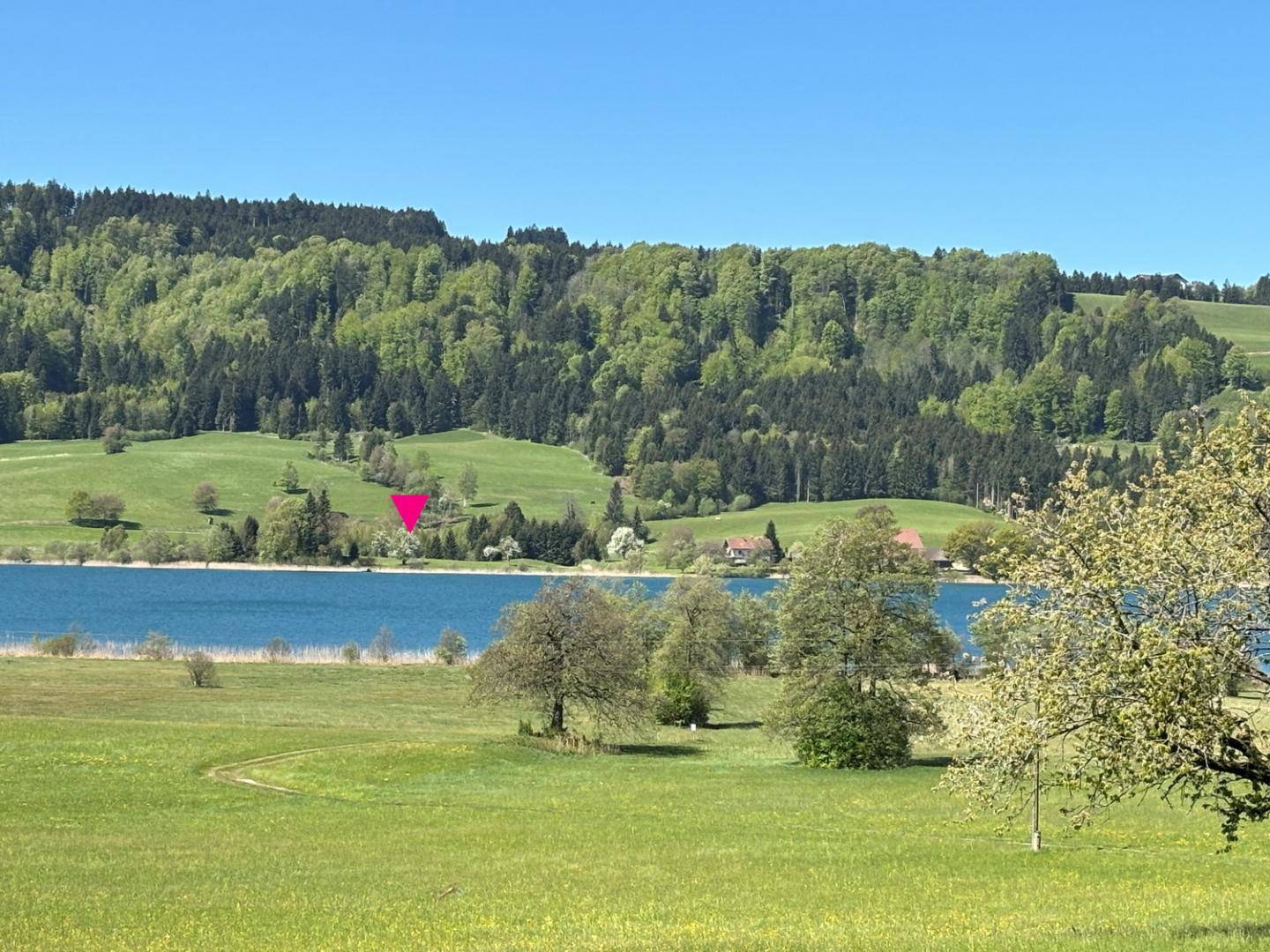 BESONDERE RARITÄT * Baugrundstück mit Altbestand in Alleinlage und Seenähe - Ansicht 2