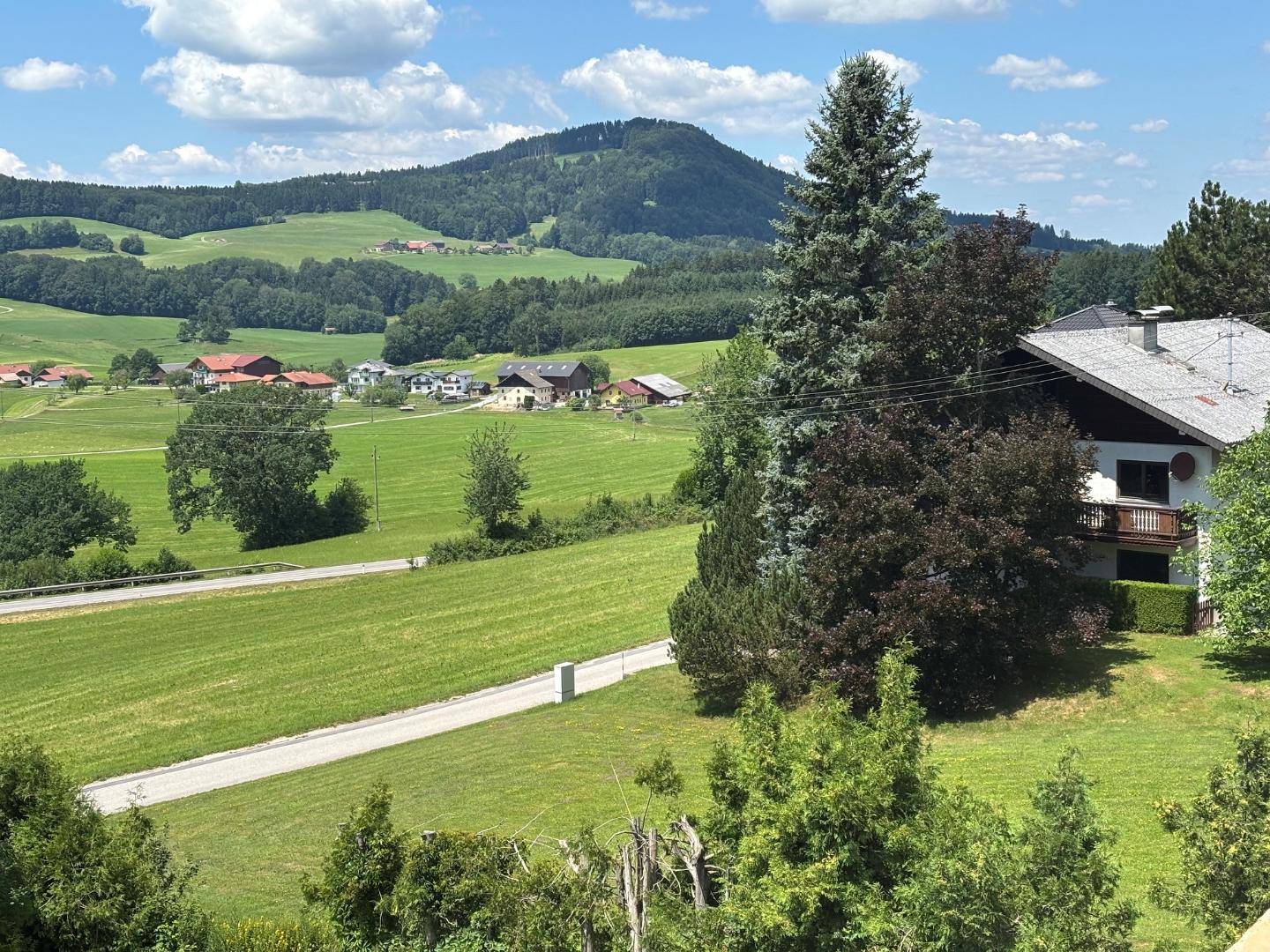 Weitläufiger Blick über grüne Wiesen und Wälder mit vereinzelten Häusern und Bergen.