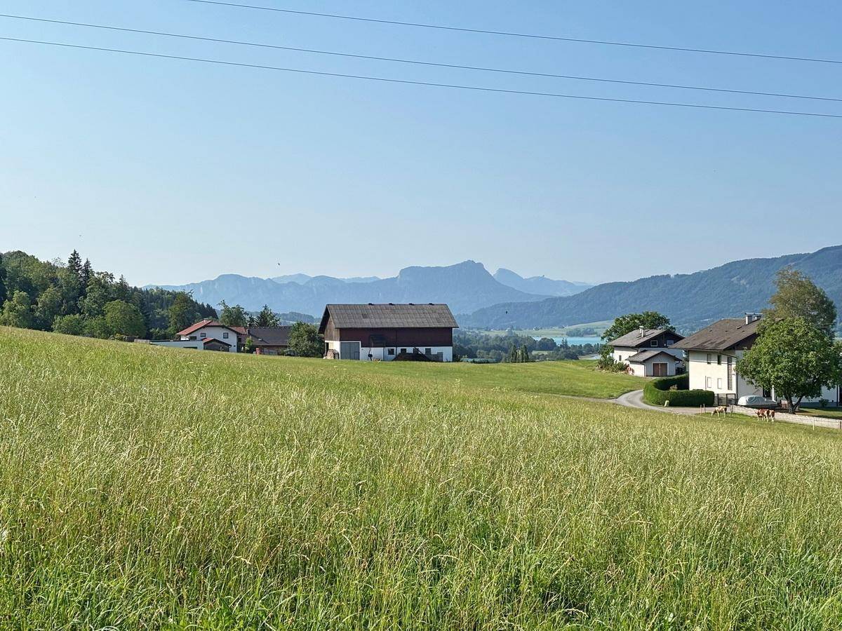 Südblick 2