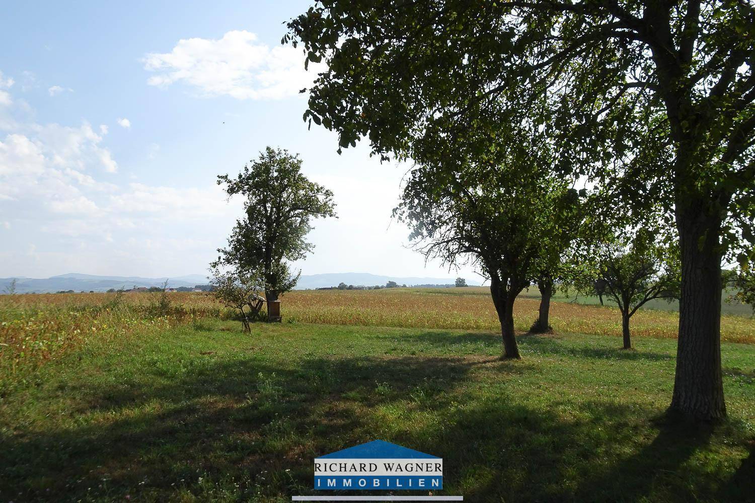Elakfoto-182