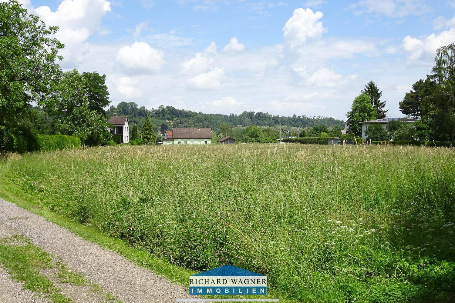 Sonniges, hohes Grasfeld mit einem Feldweg und ländlicher Bebauung im Hintergrund.