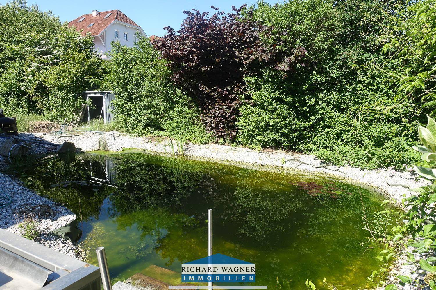 Natürlicher Gartenteich umgeben von üppigem Grün und Bäumen, mit einem kleinen Schuppen im Hintergrund.