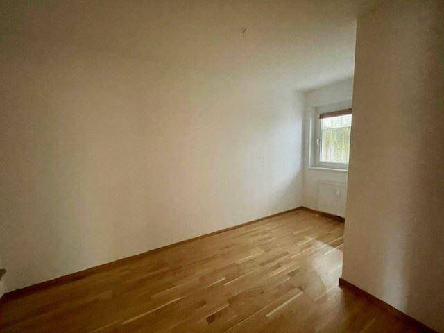 Zimmer2