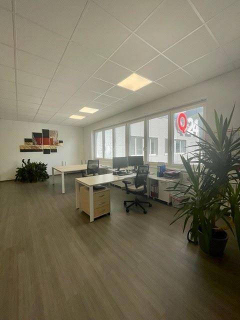 Geräumiges Büro mit mehreren Schreibtischen, Pflanzen und großen Fenstern, die viel Tageslicht hereinlassen.