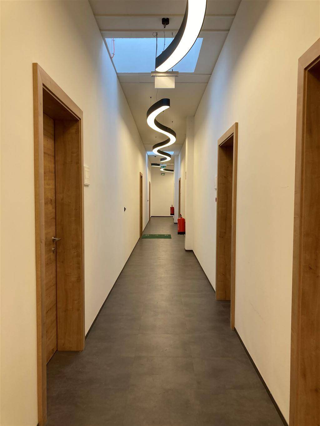 Langer, moderner Flur mit einzigartiger Deckenbeleuchtung und mehreren Holztüren, der zu verschiedenen Räumen führt.