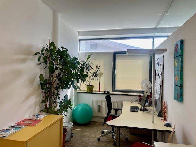 Helles Büro mit Schreibtisch, Bürostuhl, Pflanzen und einem großen Fenster mit Rollo.