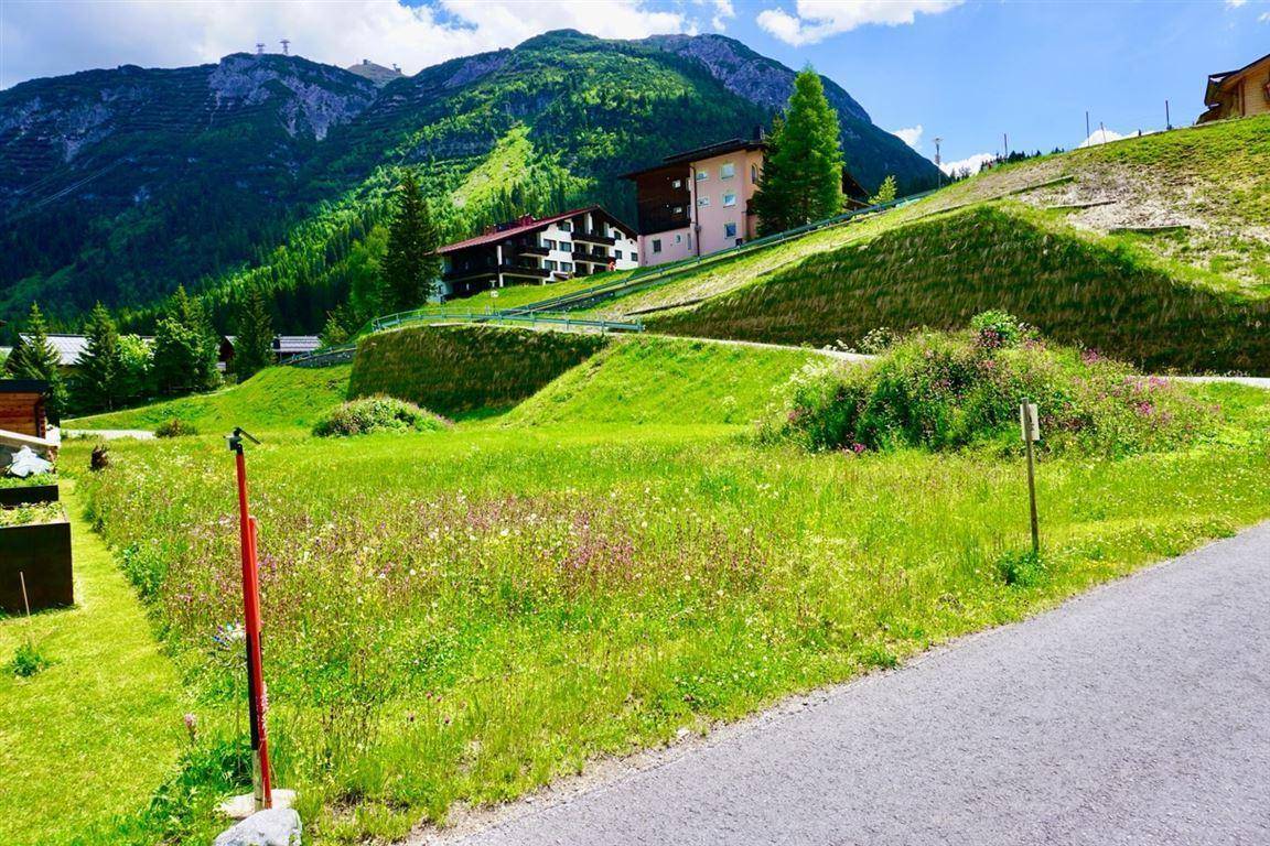 Grüne Hügellandschaft mit vereinzelten Häusern und majestätischen Bergen im Hintergrund.