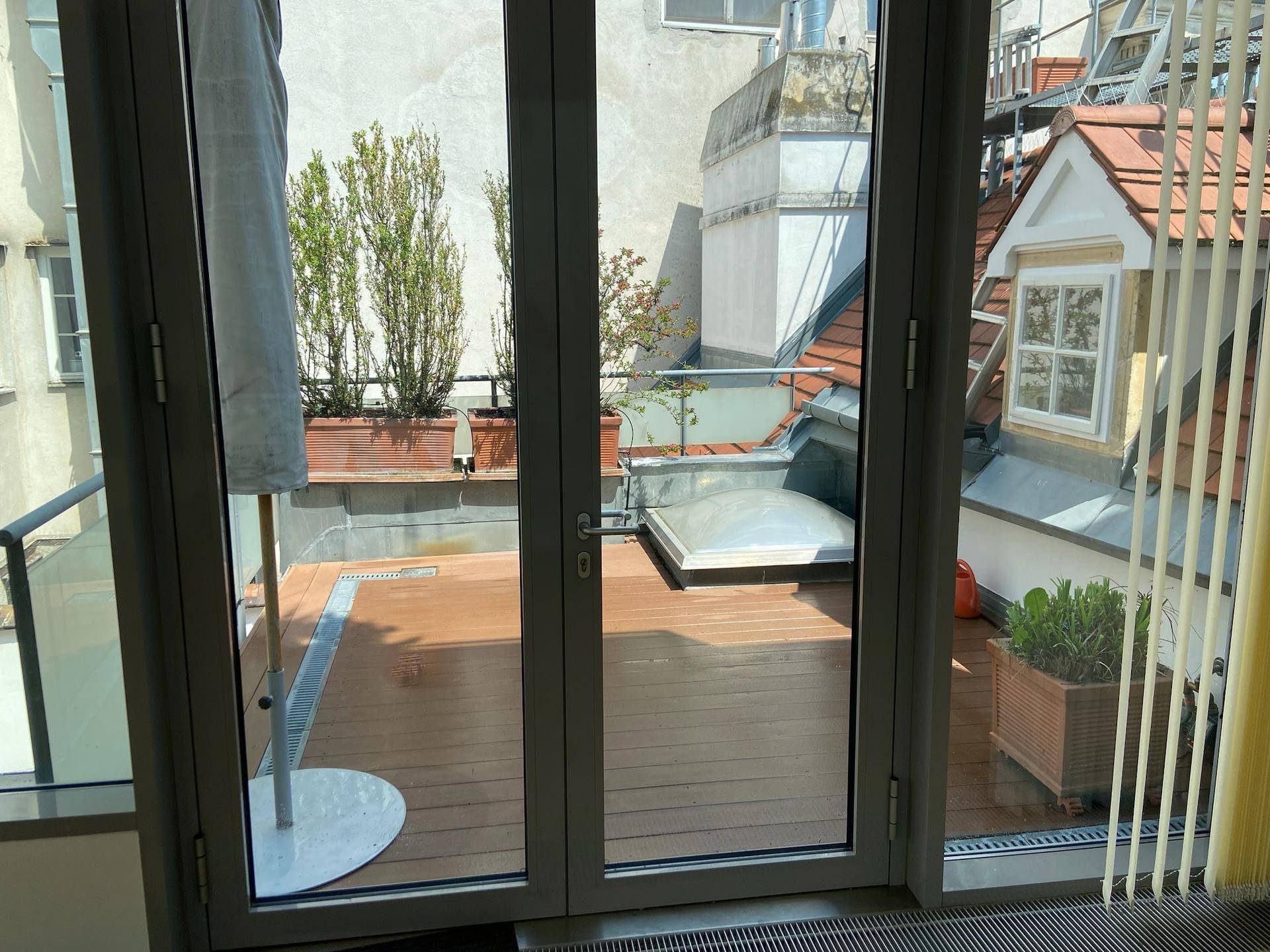 Blick von innen auf eine Holzterrasse mit Pflanzen und einem Dachfenster.