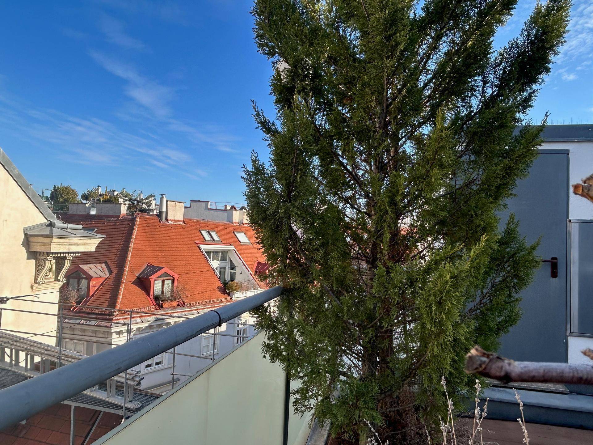 Blick von der Terrasse mit einem großen Baum auf die umliegenden Dächer der Stadt.