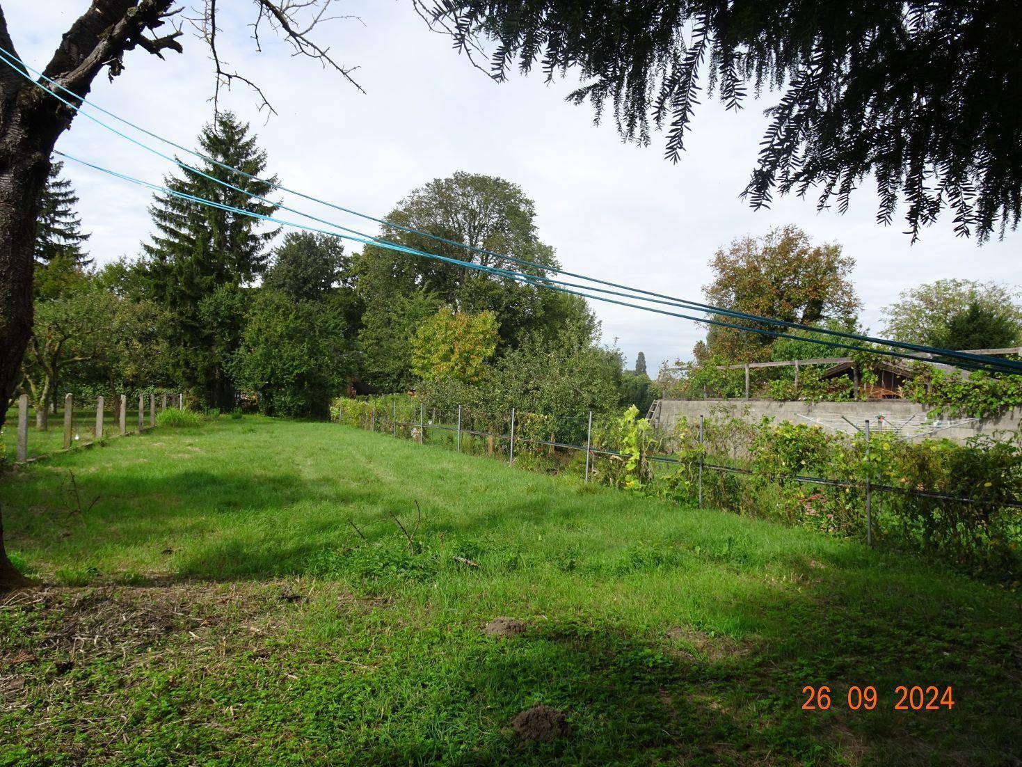 Weitläufige grüne Fläche mit Bäumen und Zaun, umgeben von Natur.
