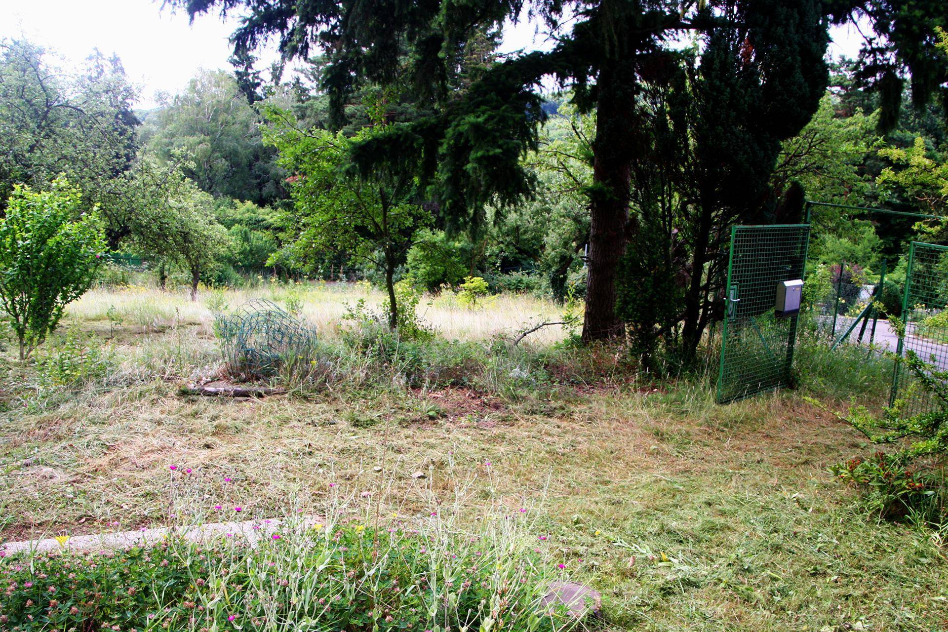 Gartenbereich mit einem grünen Zaun und Tor, umgeben von natürlicher Vegetation.