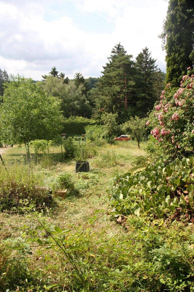 Weitläufiger Garten mit verschiedenen Bäumen und Sträuchern, bietet einen weiten Blick.