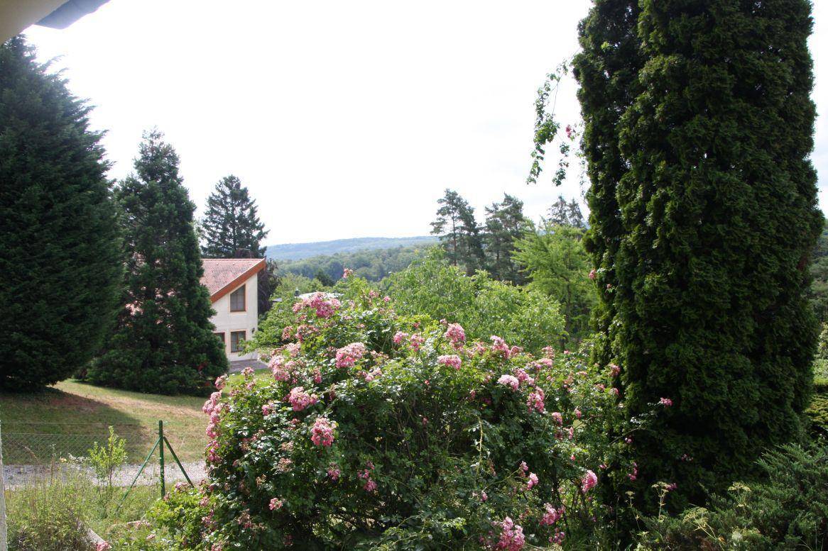 Garten mit blühenden Rosensträuchern und Blick auf ein weiteres Haus in der Ferne.