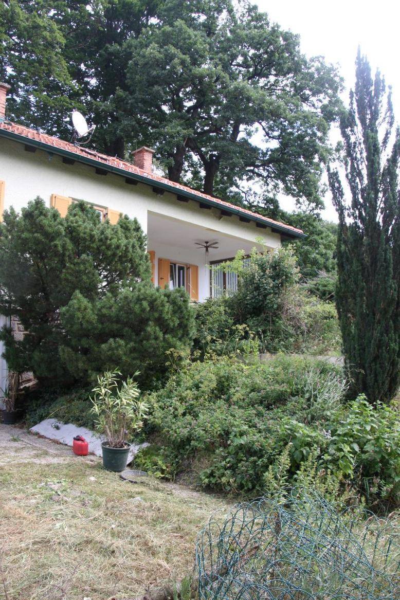 Seitenansicht des Hauses mit üppigem Garten und hohen Bäumen im Hintergrund.