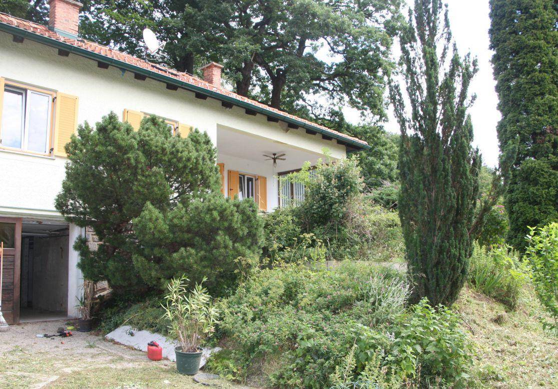 Hausfassade mit offenem Garagenbereich und einem verwilderten Garten mit hohen Bäumen.