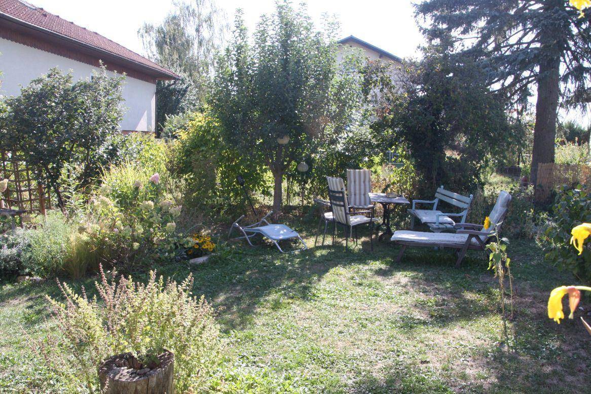 Gepflegter Gartenbereich mit Rasenfläche, alten Bäumen und Sitzgelegenheiten im Freien.