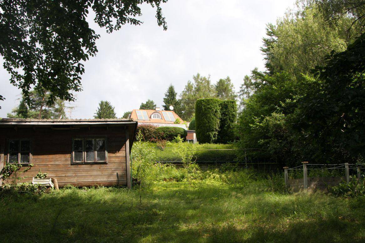 Garten mit einem Holzschuppen und üppiger Vegetation, umgeben von hohen Bäumen.