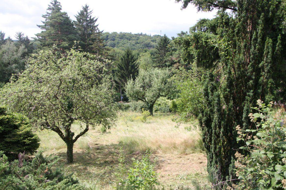 Garten mit Obstbäumen und weitem Blick auf die bewaldete Hügellandschaft.