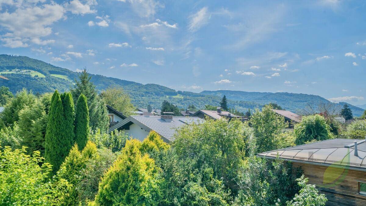 Ausblick