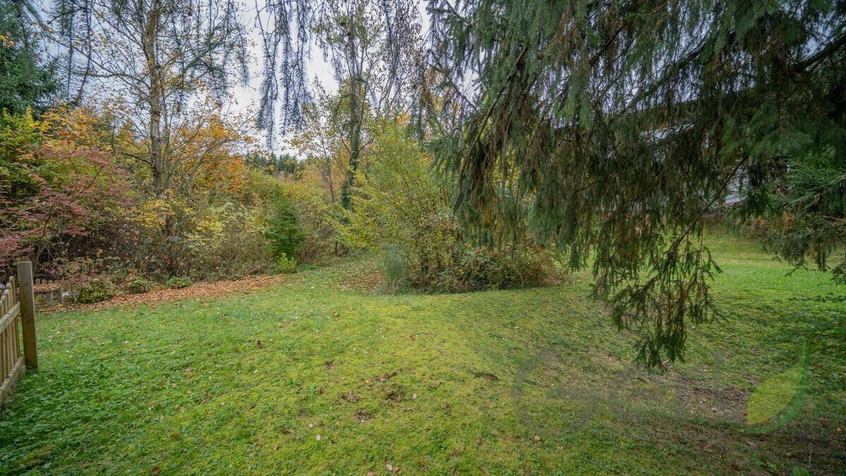 Naturbelassene Gartenfläche mit dichtem Bewuchs und herbstlichem Laub unter einem bewölkten Himmel.